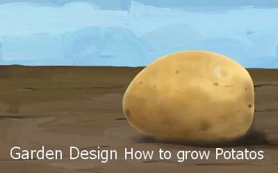 Garden Design How to grow Potatoes