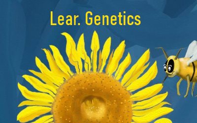 Learn Genetics Flowers Diversity 