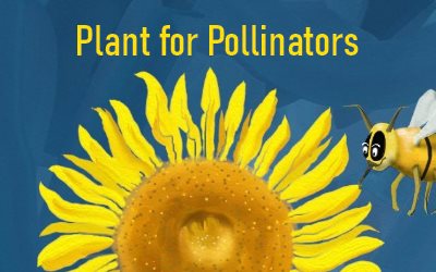 Plant for Pollinators