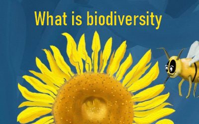 WWF What is Biodiversity  