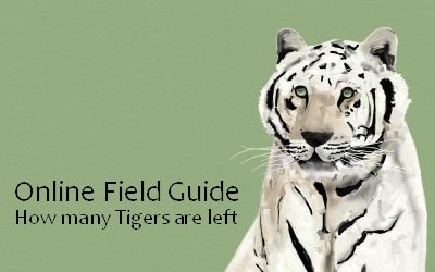 Online Field Guide How many Tigers are left