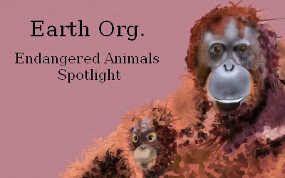 Earth Org. Endangered Species Orangutan