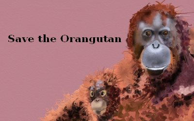 Save the Orangutan