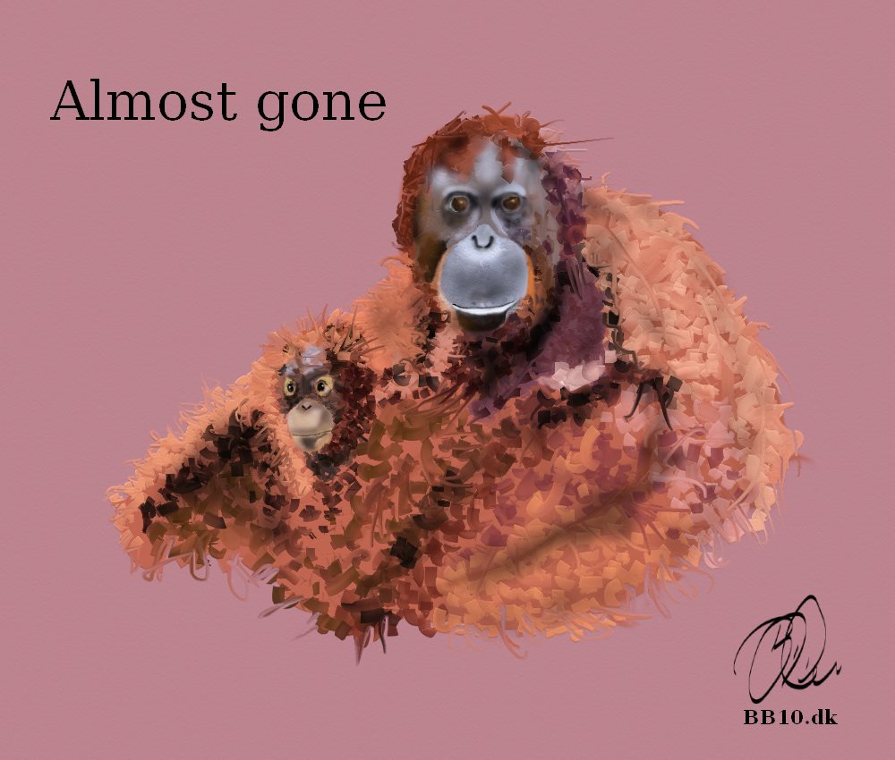 Go to Orangutan almost gone
