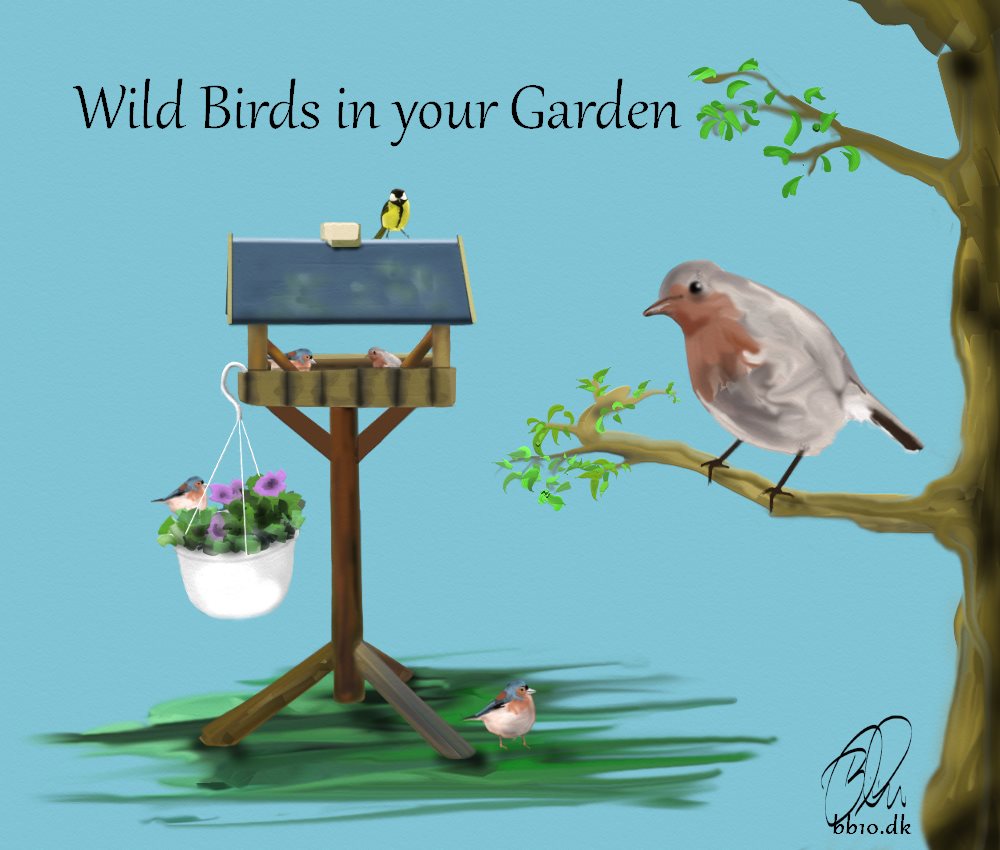 Go to Wild Birds in your Garden