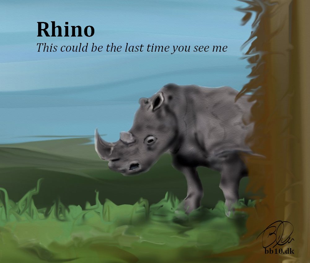 Rhino the last time