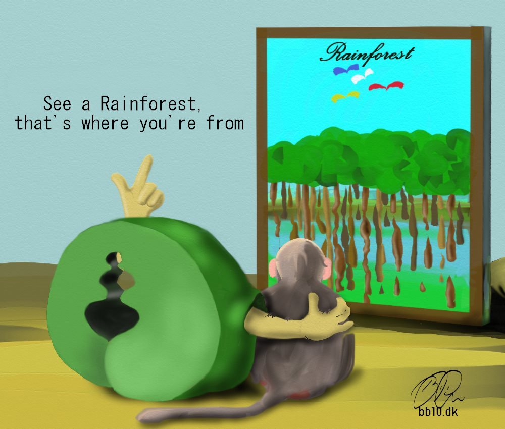 Se a Rainforest