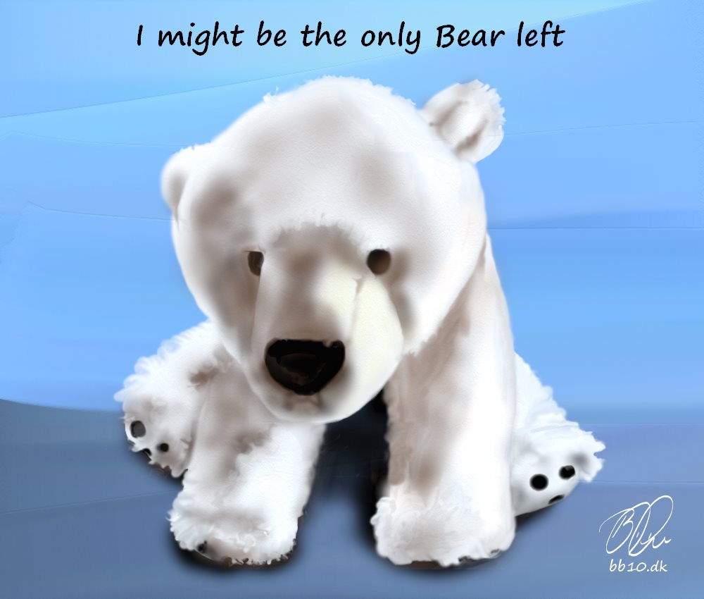 Go to I might be the only Bear left