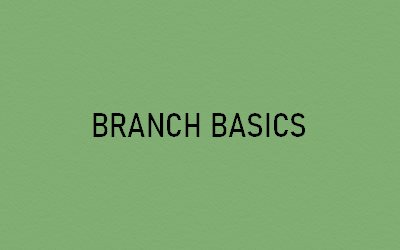 Branch Basics Cleaning