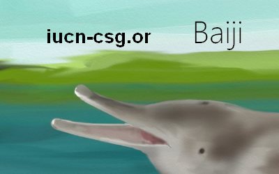 iucn-csg.or Yangtze River Dolphin (Baiji)