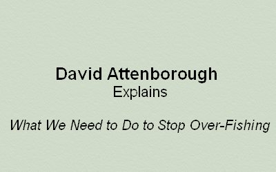 David Attenborough Explains What We Need to Do to Stop Over-Fishing