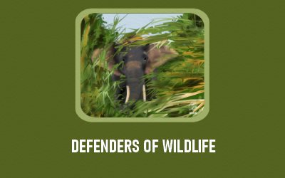 Defenders of Wildlife Elephants