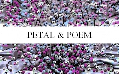 Petal & Poem 