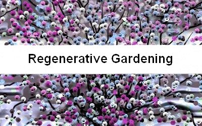 Go to Regenerating Gardening