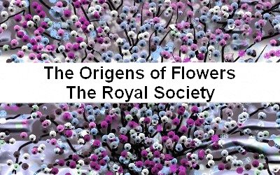 The Origins of Flowers The Royal Society