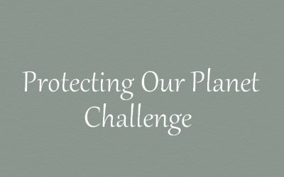 Protecting Our Planet Challenge