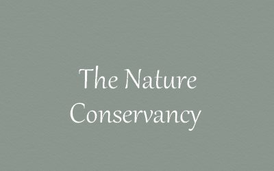 The Nature Conservancy