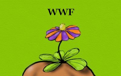 WWF Why we need Wildflowers 